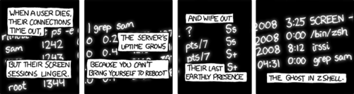 The author is using the lifecycle of various processes in a multi-user unix environment as an allegory for life and death in general. Normally when a user connects to a unix server, any processes they start are tied to the lifecycle of their session. Therefore, if one is disconnected abruptly from the server any processes they started in that session are killed once it times out. Because of this, many users invoke their processes via the screen command. Screen is a popular unix utility that allows most any process to live outside of the normal lifecycle of a user  session. A user may make use of commands to connect and disconnect to any number of screen sessions that are running in the background.
In this comic strip, one particular user named &#8220;sam&#8221; is running the IRC client irssi using the screen command and his default shell - zsh (z shell). The author picked this particular shell in order to make the humorous pun, &#8220;the ghost in z shell&#8221;. Which is a reference to the popular hentai movie Ghost in the Shell.